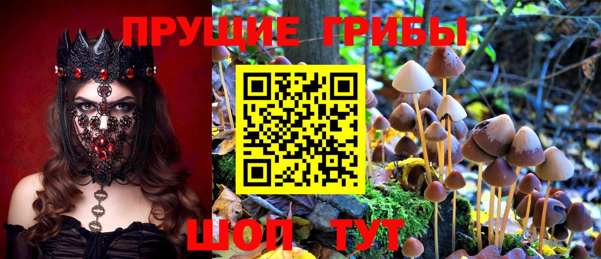 Галлюциногенные грибы ЛСД  Псилоцибиновые грибы Cubensis  Новоалтайск  Вход с VPN 